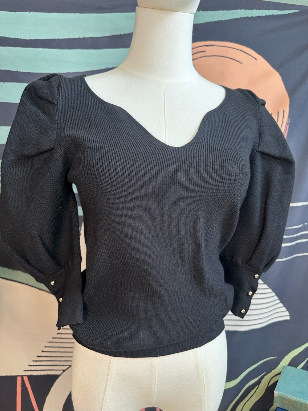 NWT Bluivy Black Puff-Sleeve V-Neck Sweater size small